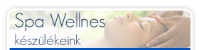 Spa Wellnes K�sz�l�keink